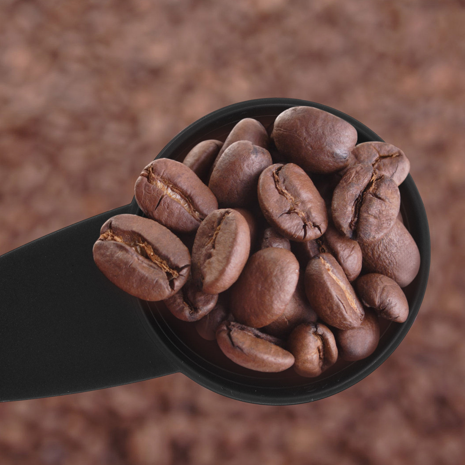 Cucharas medidoras de mango la - Coffee Tea Spices reseña y precio